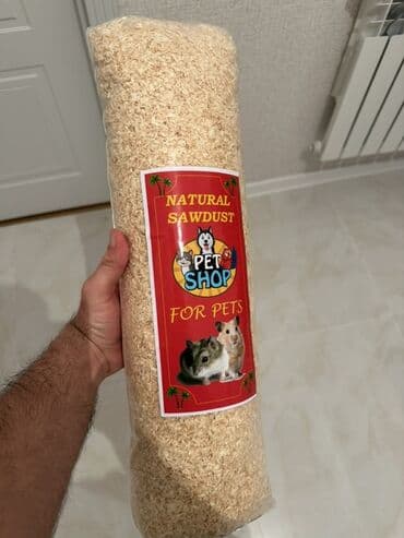 Gəmiricilər: Holland Lop dovşan satılır. Ev dovşanıdı. Ayaqyolu tərbiyəsi var. Qoxu — 5