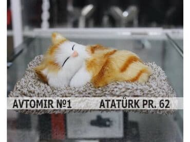 changan benni mini: Dekorativ panel oyuncağı bundan başqa hər növ avtomobi̇l — 1