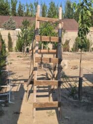 Mənzillər: 8 sot, Mülkiyyətçi, Kupça (Çıxarış) — 18