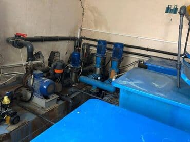 hovsanda obyekt satılır: Zirə Kəndi, 10 hektar sahəsi olan parnik satılır. 5 hektar yarım — 14