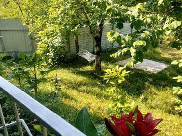 qaxda kirayə evlər 2023: 120 kv. m, 3 otaqlı, İnternet — 27