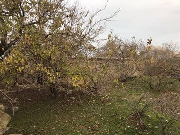 5 sot nece metrdir: 7 sot, Makler, Kupça (Çıxarış) — 5