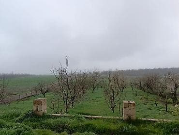 qubada kiraye evler: Quba, 221 kv. m, 8 otaq, Hovuzsuz, İşıq — 7