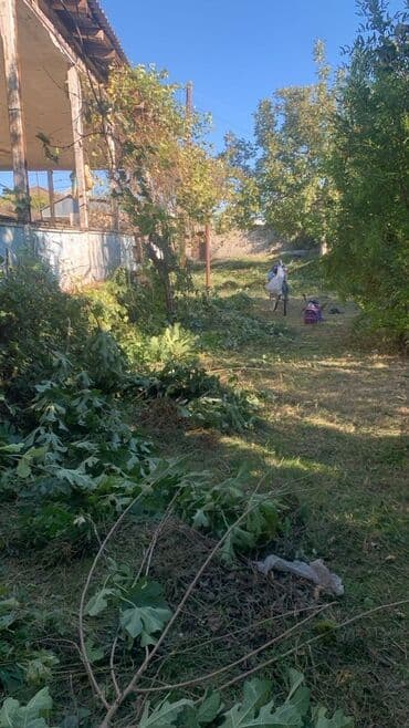 bakixanov kiraye ev: 6 otaqlı, 1700 kv. m, Təmirsiz — 5