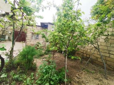 nerimanovda satilan evler: 5 otaqlı, 130 kv. m, Orta təmir — 1