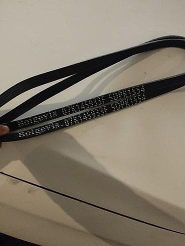 mini ekskavator: RIDEX V-Ribbed Belts (çox yivli kəmər) - Brend: RIDEX - Model/Part — 3