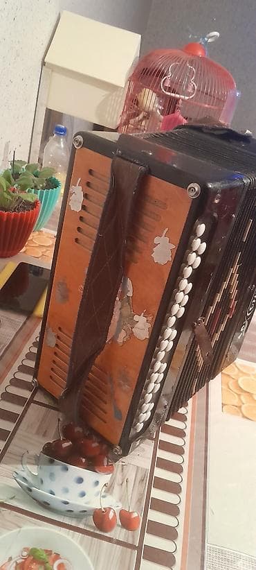 Fleytalar: Akustik Akkordeon, İşlənmiş, Ünvandan götürmə — 3