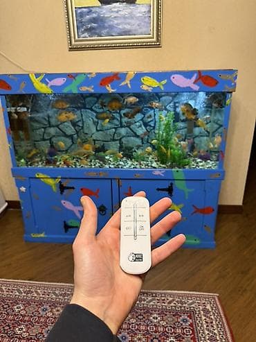сколько стоит аквариум: Аквариум - 2 м ( 7,000 Манат Цена — 9