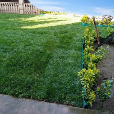 bitki toxumlarinin satisi: Qazon sifarişi qəbul olunur yüksək keyfiyyətli danimarka toxumu ilə — 1