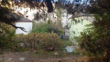 elite: 4 sot, Tikinti, Mülkiyyətçi, Bələdiyyə — 4