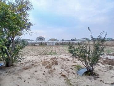 goradil torpaq satilir: Tikinti — 2