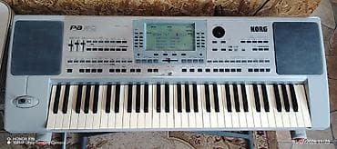 saatlar type 0: Korg Pa50 sadədir USB emulatorla (fleşkartla) işləyir. Disketlə olan — 1