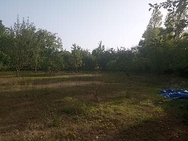 torpaq barter: 8 sot, Tikinti, Maklerlər narahat etməsin, Kupça (Çıxarış) — 4