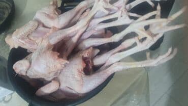 Коровы, быки: Məhsul: Təmizlənmiş çolpalar başsız, içalatı çıxarılmış), ayaqları ilə — 6