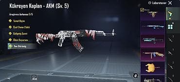 dragon şortik: PUBG Mobile hesabı – zəngin kolleksiya və yüksəldilmiş itemlər - — 2