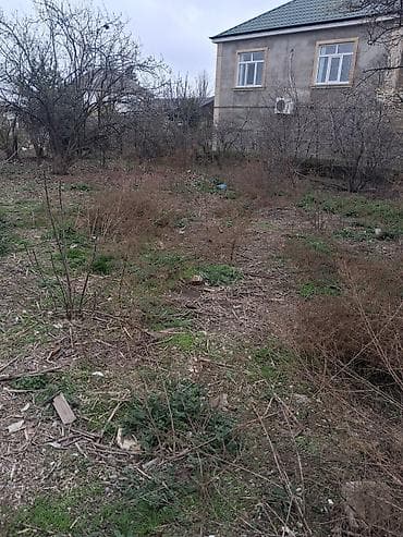 şıxovda torpaq sahəsi: 4 sot, Tikinti, Mülkiyyətçi, Kupça (Çıxarış) — 2