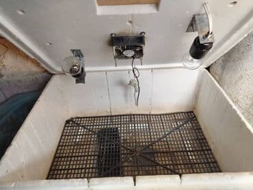 Автосервисное оборудование: İşlek vəziyyətdədir — 2