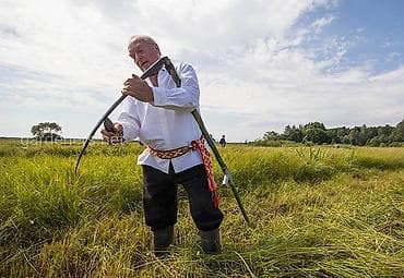 plasmas su cənləri: AĞSU Şəhərində Təcili Alıram !!!!! Hazır Saplanmış Saz Vəziyyətdə Ot — 1