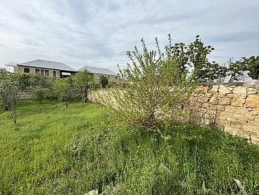 gence menziller satisi yeni: 4 otaqlı, 250 kv. m, Yeni təmirli — 6