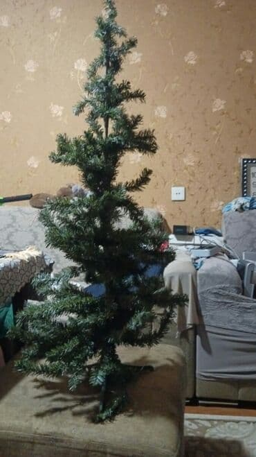 зеркало аз: Yolka satilir yeni kimidi qiymeti 20 azn oyuncaqlarda var 1 ededi 1 ve — 1