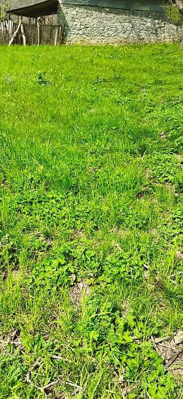 недвижимость в баку: 10 соток, Для сельского хозяйства, Купчая — 2