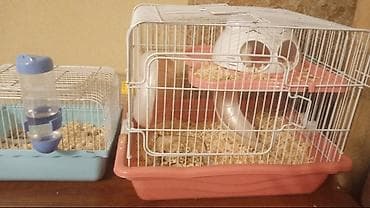 qəfes: Uzerin de 3 eded hamster verilecekHamster üçün qəfəslər və aksesuarlar — 1