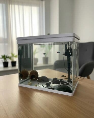 Akvarium aksessuar və ləvazimatları: 40 litrlik akvarium seti - Həcmi: 40 litr (üst qapaqlı, ağ rəngdə — 1