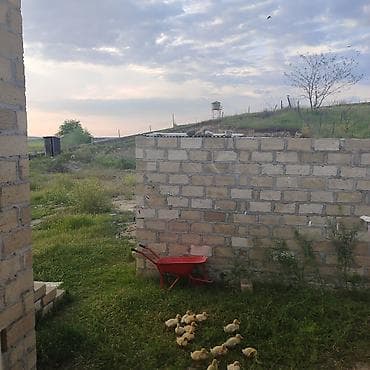 kreditle evler: 2 otaqlı, 8 kv. m, Kredit yoxdur, Təmirsiz — 6