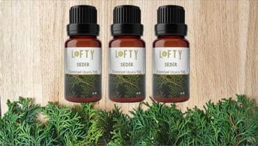 ilan yağının faydaları: Aromatik təbiətli yağlar dincəlməyə və əhval-ruhiyyəni yaxşılaşdırmağa — 19