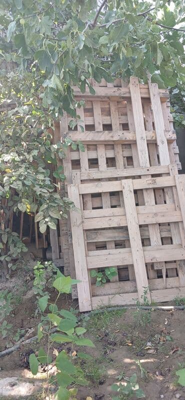 parket topdan satis: Taxta paletlər – müxtəlif ölçülərdə Məhsul təsviri: - Şəkillərdə — 1