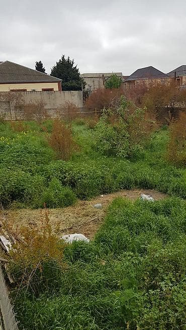 torpaqlar: 6 sot, Tikinti, Kupça (Çıxarış) — 1