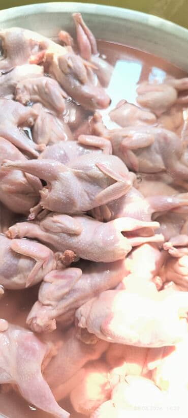 first class cay: Cox Dadli Sizde Alin! Her Ölçüdə her Böyüklükdə Bildirçin etimiz var — 3