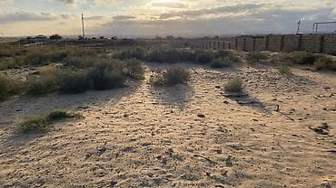 Torpaq sahələrinin satışı: 32 sot, Tikinti, Mülkiyyətçi, Kupça (Çıxarış) — 4