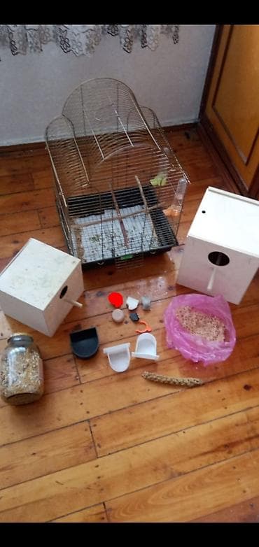 Quşçuluq dəsti – qəfəs və aksesuarlar - Metal quş qəfəsi: üst hissəsi