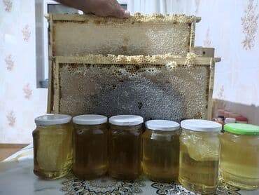 купить обои в баку онлайн: Masallıda TƏBİİ bal satılır. Bənkəsində 900q var. 051 307 44 44 — 2