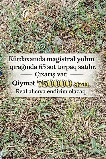 65 sot, Tikinti, Kupça (Çıxarış)