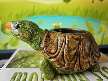 gul dibcək: Горшки для сукулентов и кактусов — 3