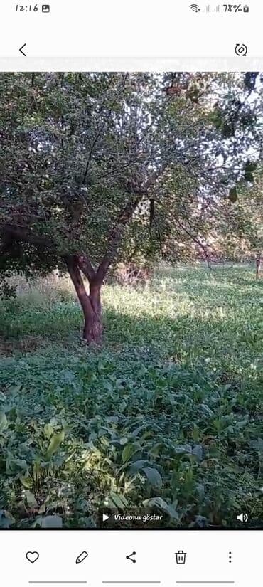 купить дом в азербайджане баку: 5 соток, Для строительства, Собственник, Купчая, Бялядия (муниципалитет) — 2