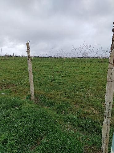 biləcəri torpaq: 8 sot, Tikinti, Mülkiyyətçi, Kupça (Çıxarış) — 5