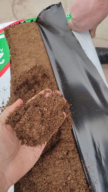 ağac satışı baki: Balaken torfu peyin ekolayf peyin peyin peyin torf250 litr torf — 20