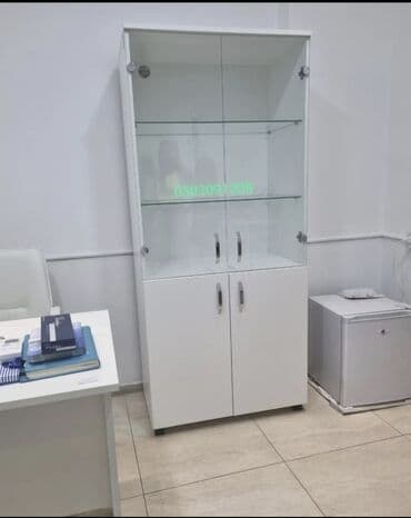 kapron dolab: Polkalı şkaf
Tibbi şkaf
Kraska yığmaq üçün
Gözəllik salonu üçün — 1