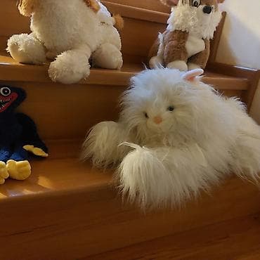 Mebel xidmətləri: Oyuncaqlar — 1