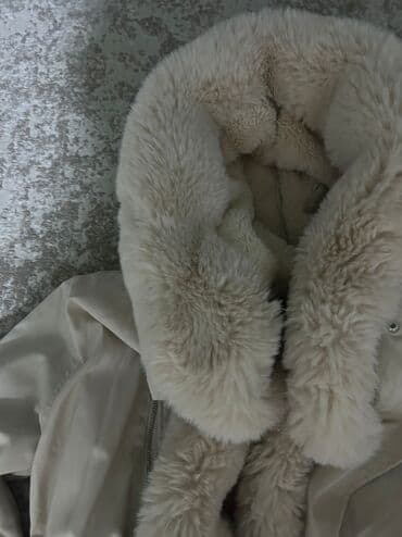 herbi kurtkalar: Kurtkalar — 2