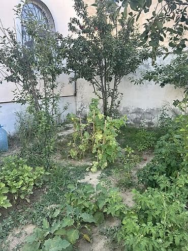 ev certyojları 2 mərtəbəli: 7 otaqlı, 185 kv. m — 5