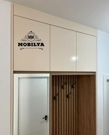 сушильный шкаф для фруктов бишкек: Düz dolab, Dəhliz üçün, Qarderob, Açılan, Korpuslu — 2