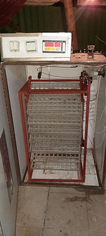 Инкубаторы: Avtomatik inkubator – iri tutumlu - Növ: yumurta çıxartma üçün — 2