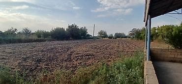 hövsanda ev: Kənd təsərrüfatı, Mülkiyyətçi, Kupça (Çıxarış) — 3