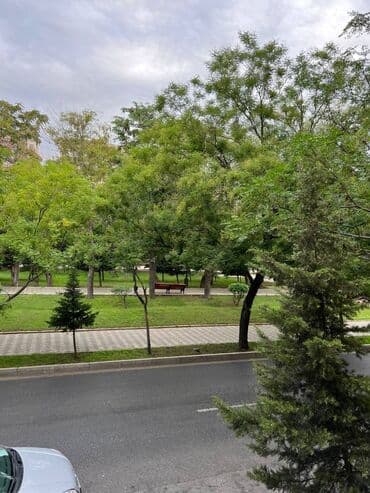 otaq yoldaşı qız: Gənclik metrosunun dedoqorqut parkına yaxın drujba kinoteatrina yaxın — 6