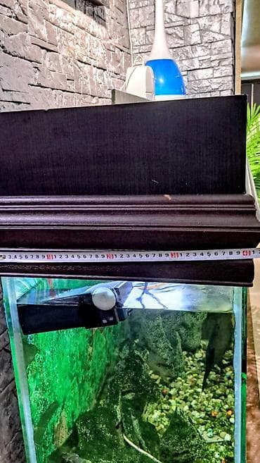 akva ayaqabılar: Hazır Akvarium Sistemi – Hər şeyi daxil! ​ ​Ölçülər: 120 x 40 x 60 sm — 2