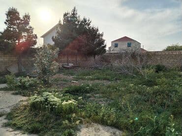 binə qəsəbəsi: 3 sot, Tikinti, Makler, Kupça (Çıxarış) — 5